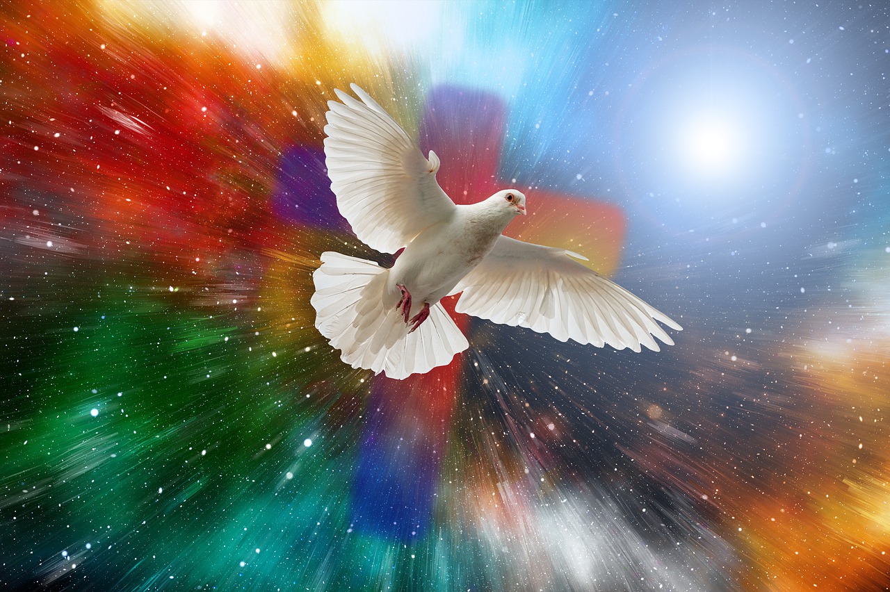 dove, universe, cross